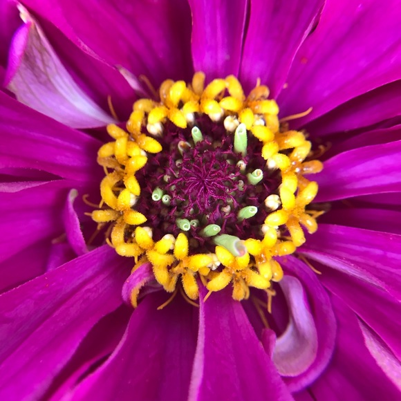 silviahuerta591